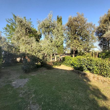 Tenuta Santa Maria Campagnatico Exterior photo