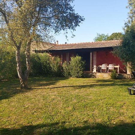 Tenuta Santa Maria Campagnatico Exterior photo
