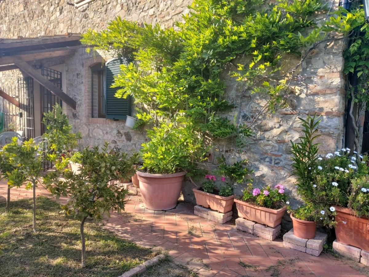 Tenuta Santa Maria Campagnatico Exterior photo