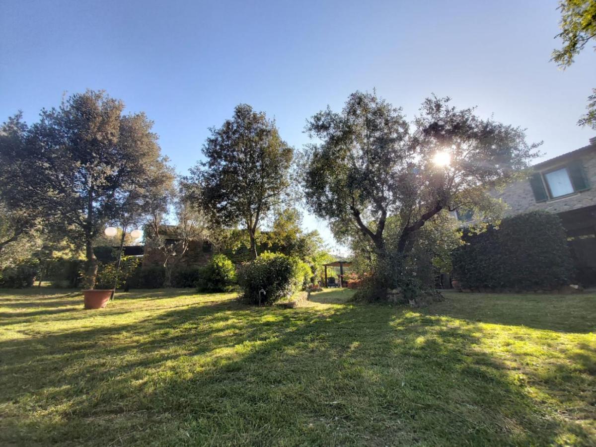 Tenuta Santa Maria Campagnatico Exterior photo