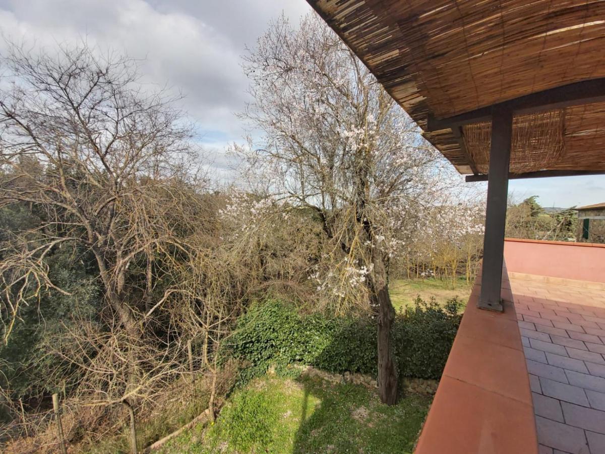 Tenuta Santa Maria Campagnatico Exterior photo
