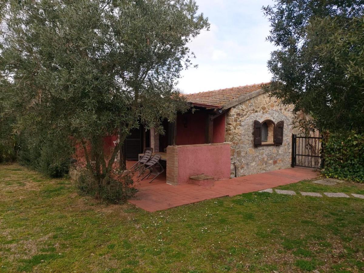 Tenuta Santa Maria Campagnatico Exterior photo