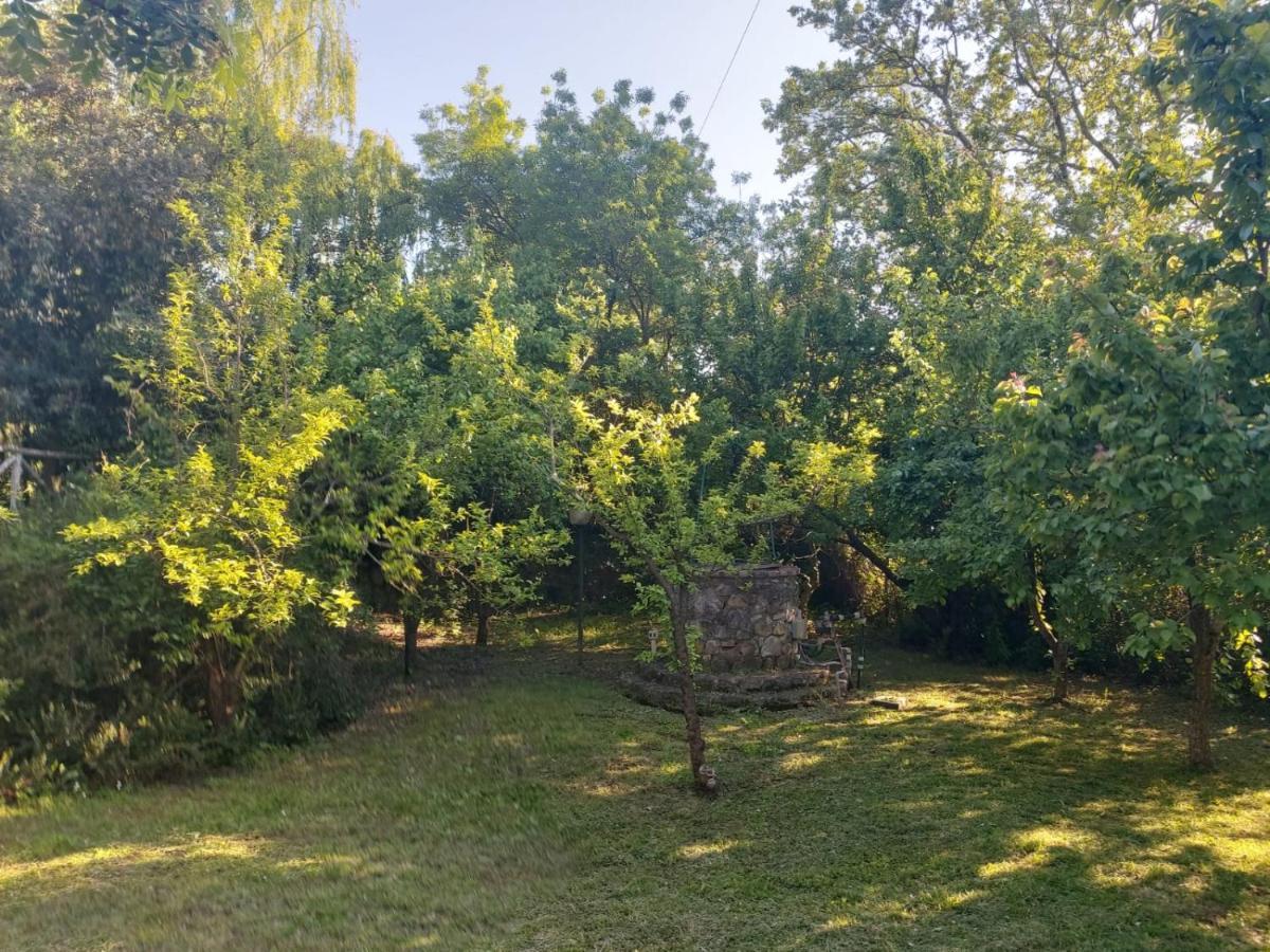 Tenuta Santa Maria Campagnatico Exterior photo
