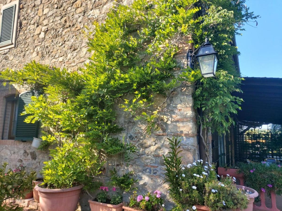 Tenuta Santa Maria Campagnatico Exterior photo