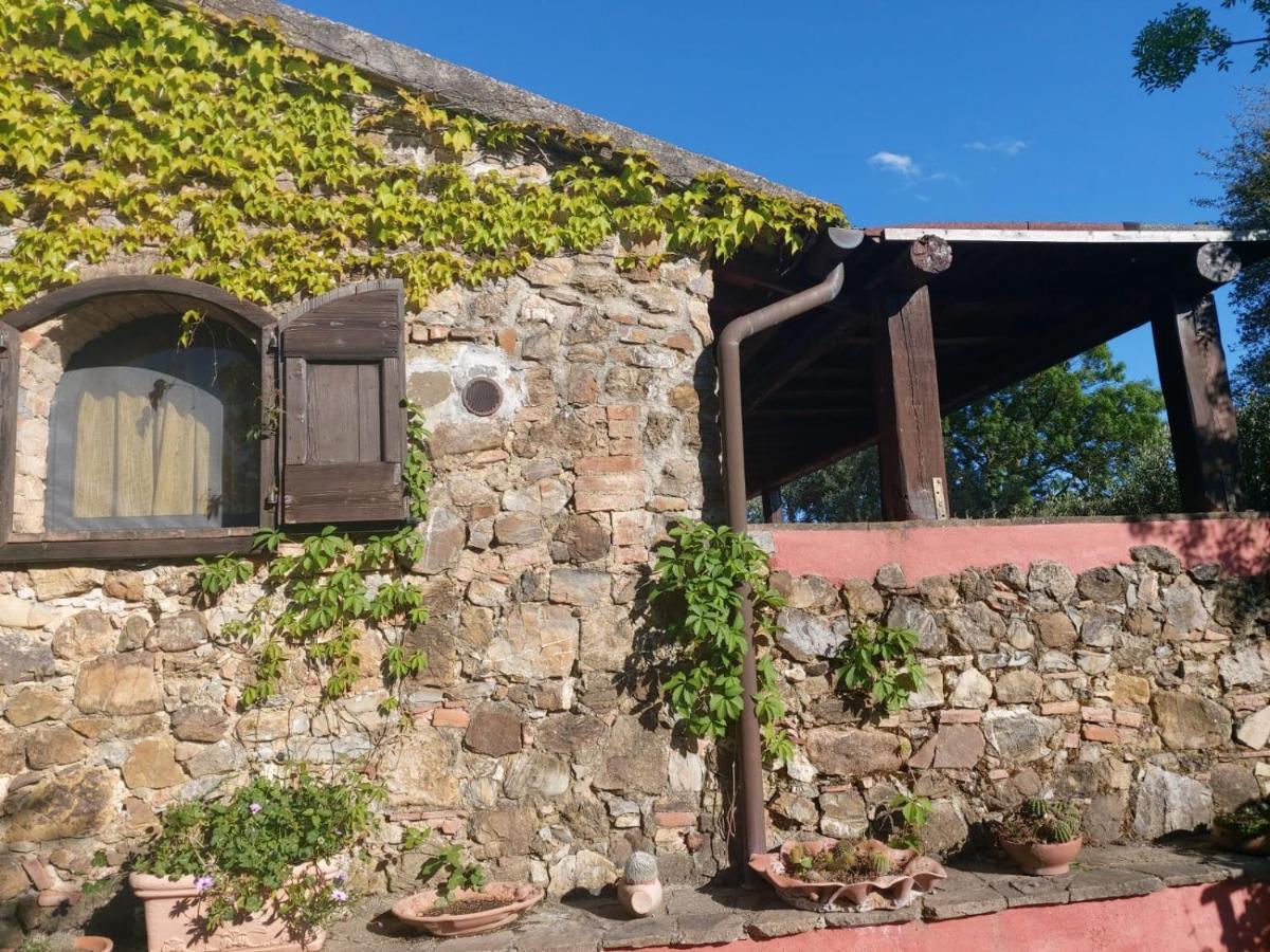 Tenuta Santa Maria Campagnatico Exterior photo