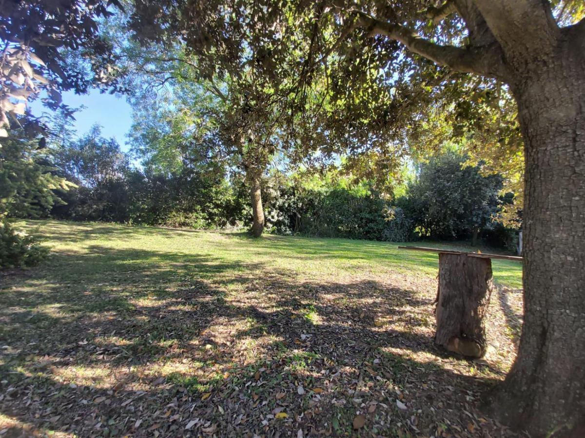 Tenuta Santa Maria Campagnatico Exterior photo