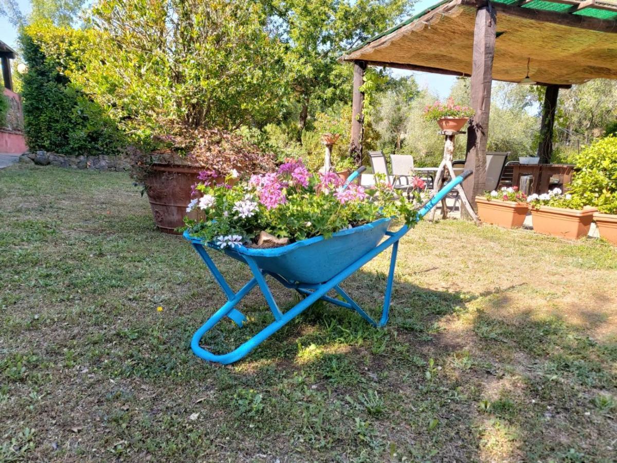 Tenuta Santa Maria Campagnatico Exterior photo
