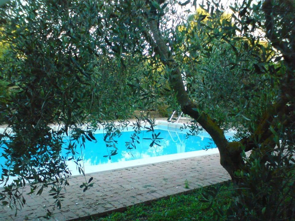Tenuta Santa Maria Campagnatico Exterior photo